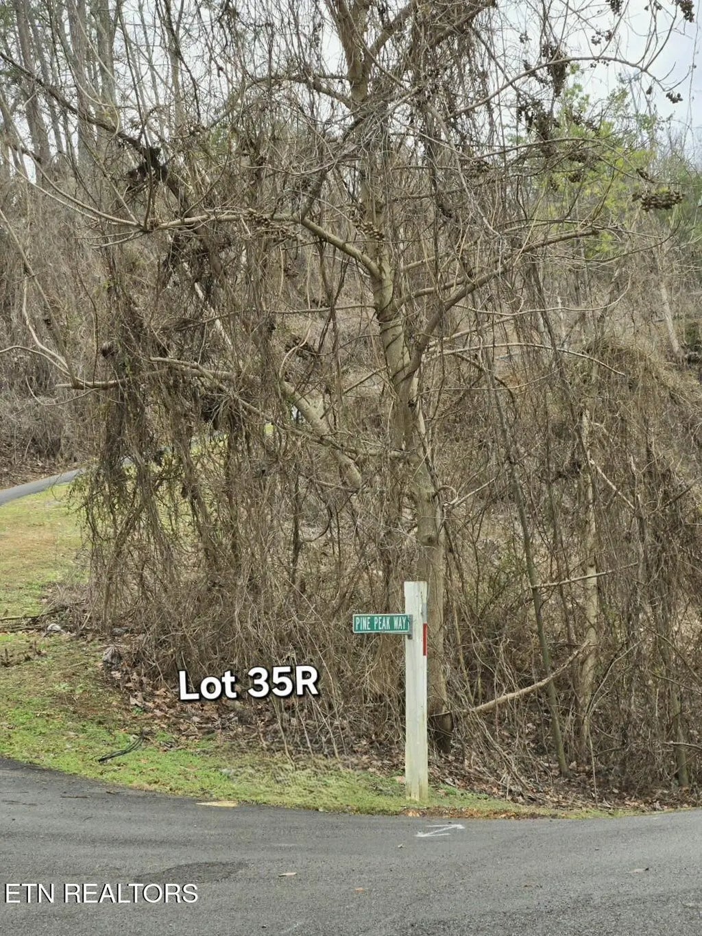 Lot 35r Pine Peak Way, Pigeon Forge