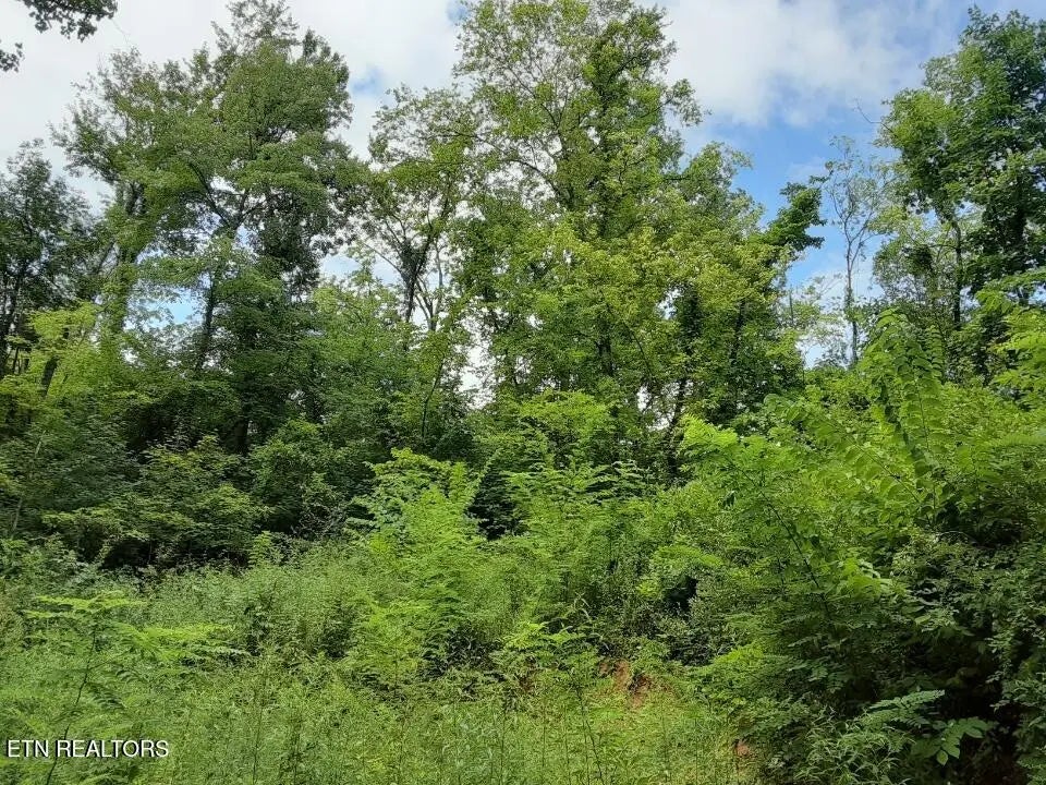 2036 Ridge Rd 16, Pigeon Forge