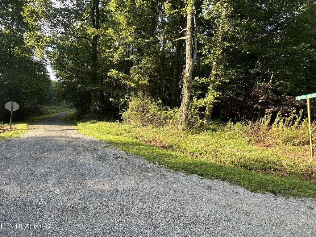 Panther Branch Road, Jamestown