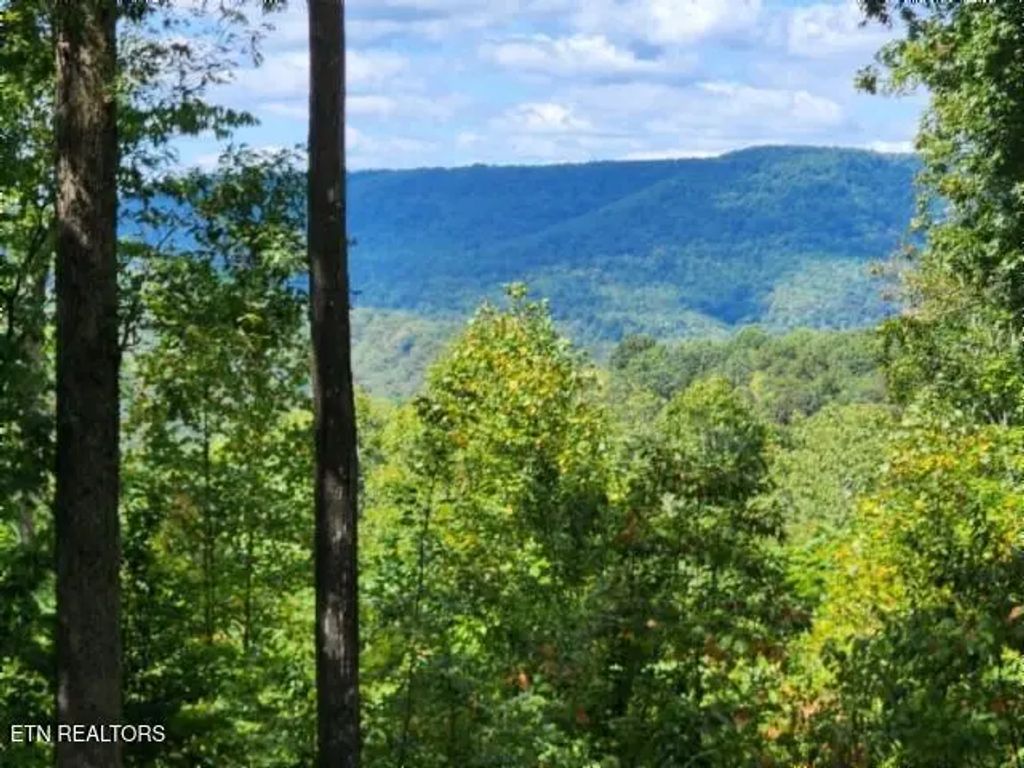 Lot 73 Tomahawk Rd, Jamestown