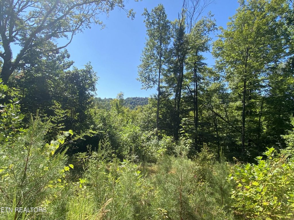 Double Top Rd, Jamestown