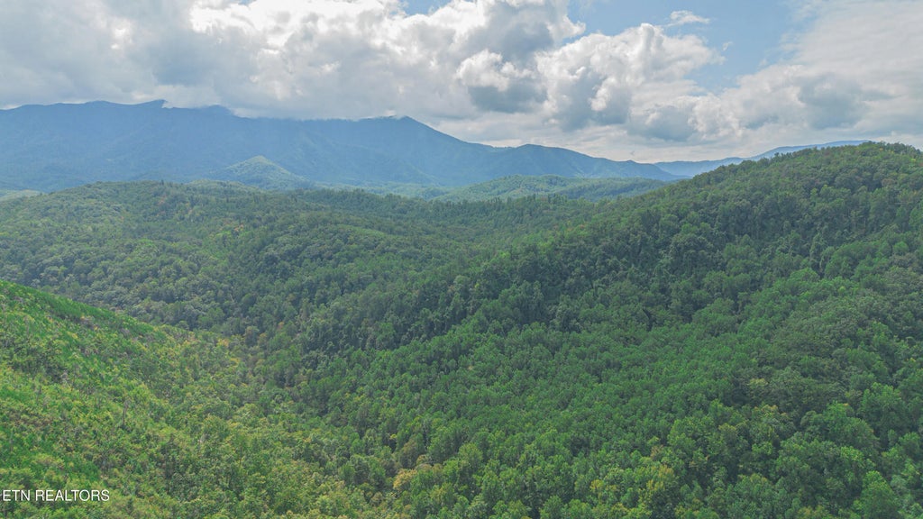 Low Gap Rd, Gatlinburg