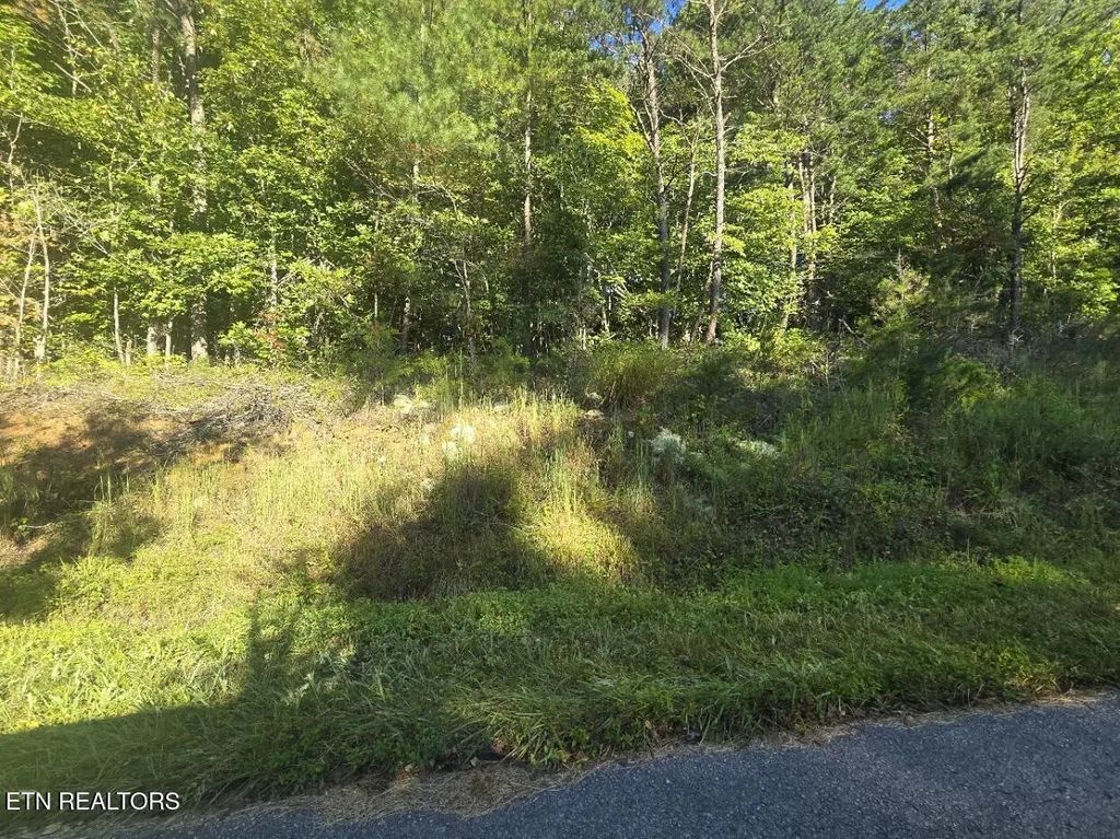 Lot 25-26 Summit Drive, Oneida