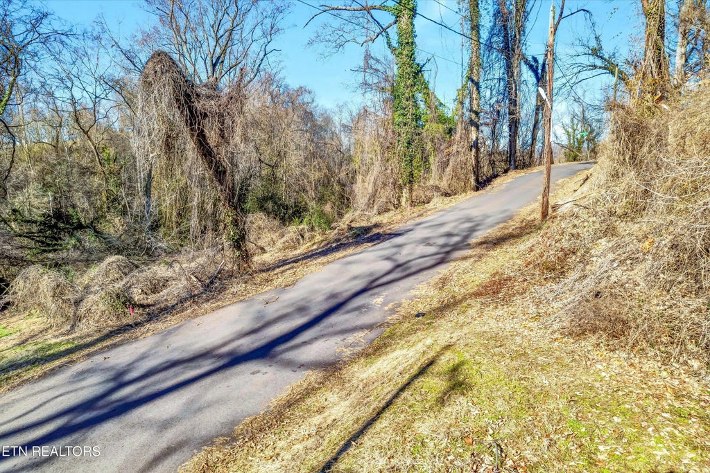 311 Bedford Ave, Knoxville