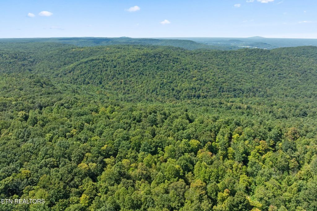158 Ac Lick Hollow Branch, Spencer