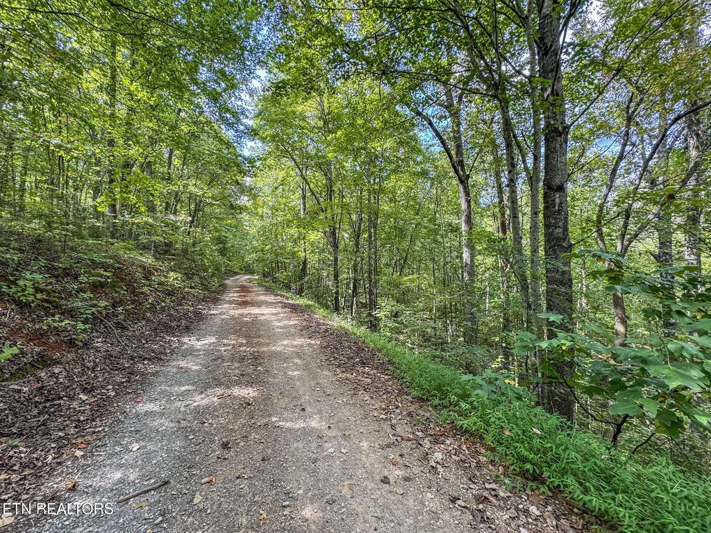 552 New Providence Rd, Tellico Plains