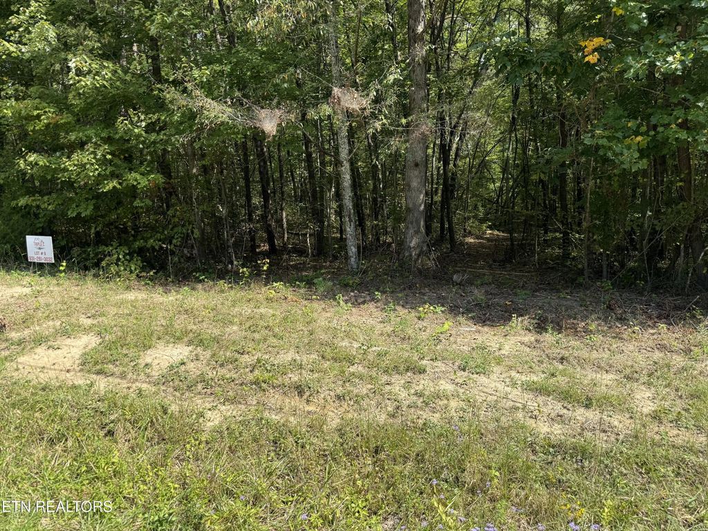 0 Mountain Laurel Tr, Clarkrange