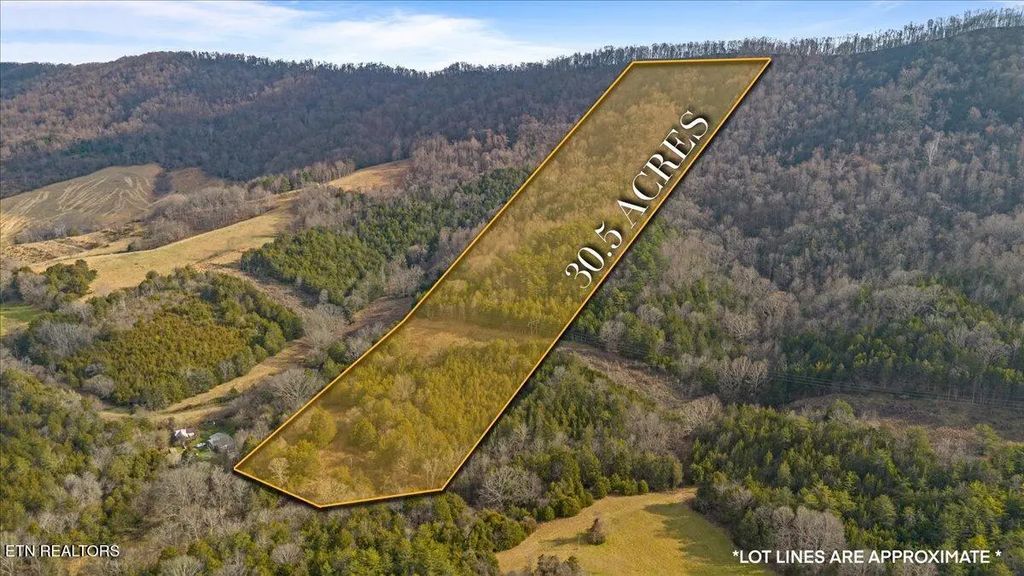 Little Sycamore Rd, Tazewell