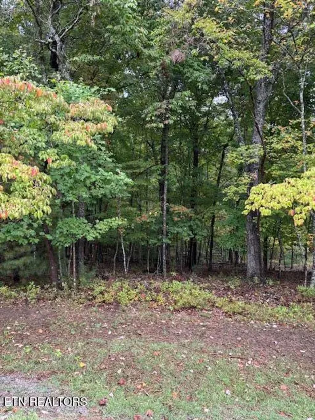 27 Chatham Court, Fairfield Glade