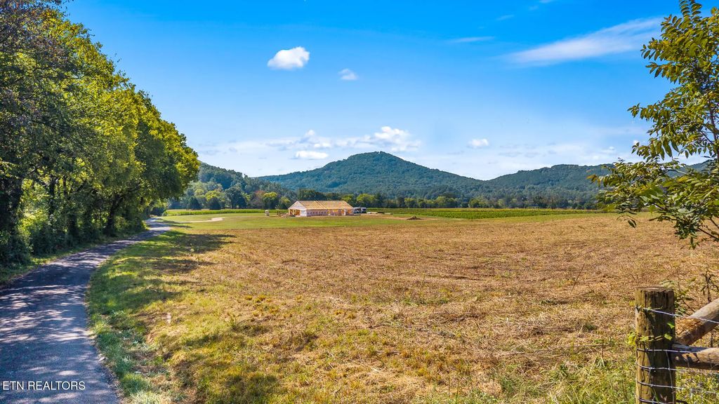 Tree Top Lane, Tellico Plains
