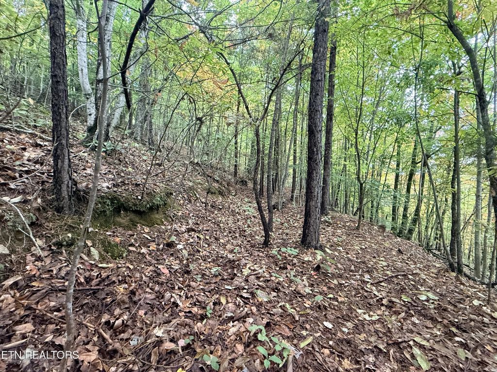 Lot 192 Clinch View Road, New Tazewell