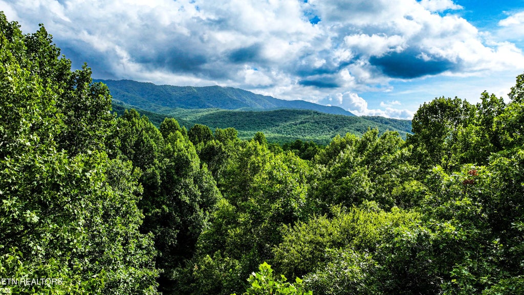 Angie Lane Lane, Gatlinburg