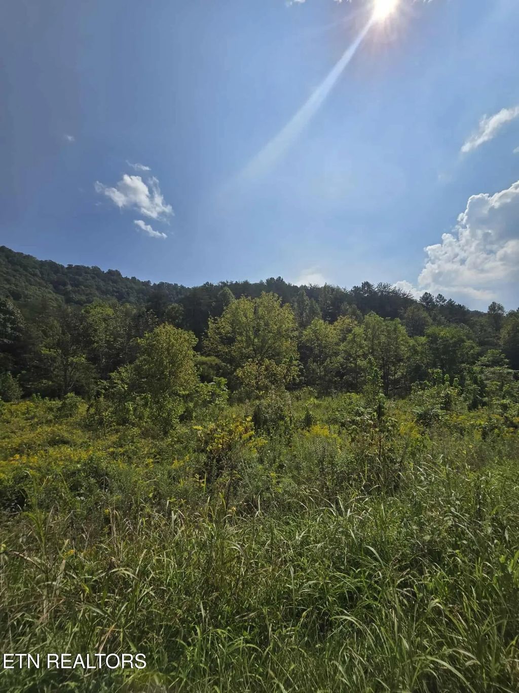 621 Butcher Valley Rd Rd, Rogersville