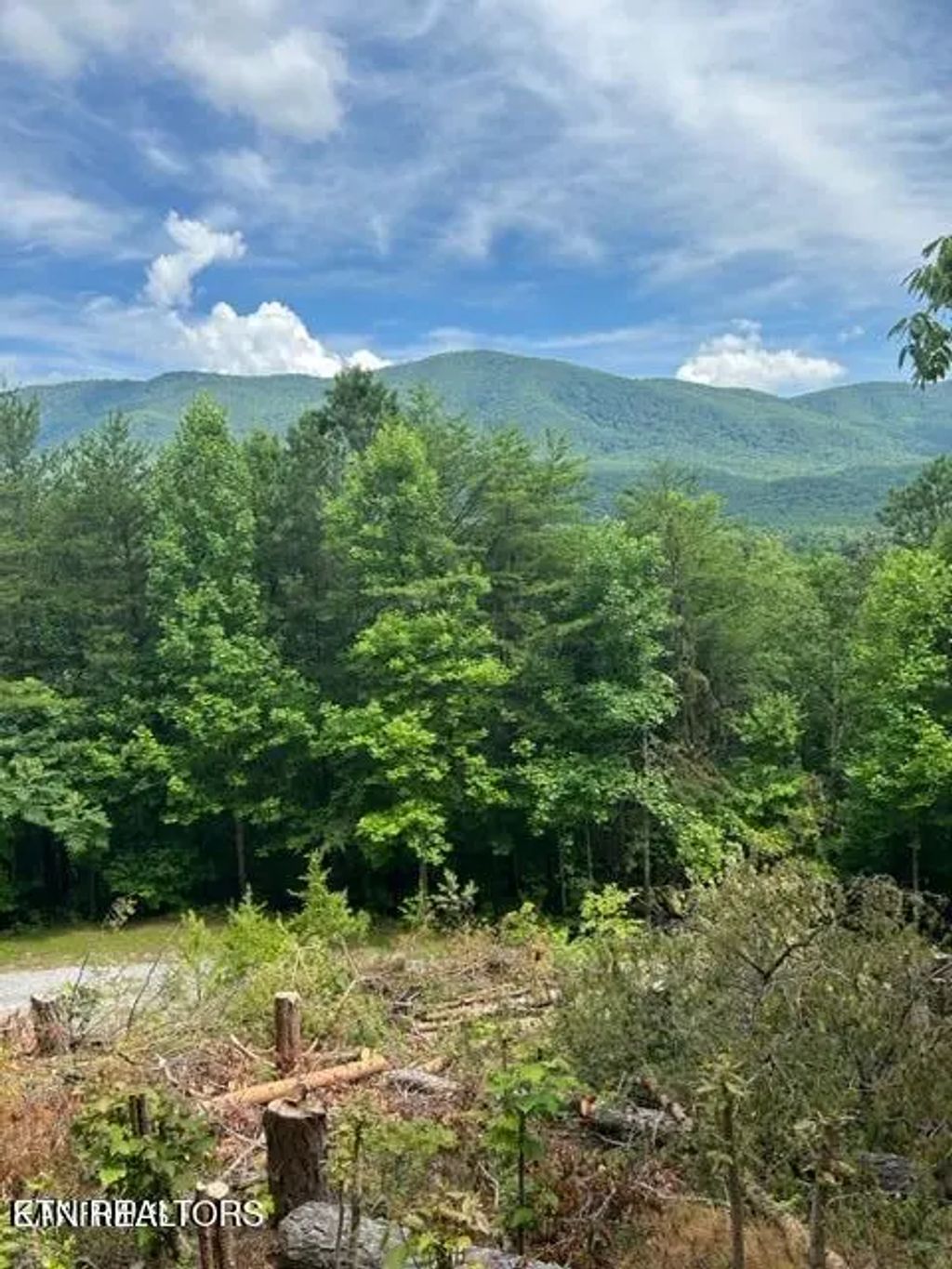 Smithfiled Rd, Tellico Plains
