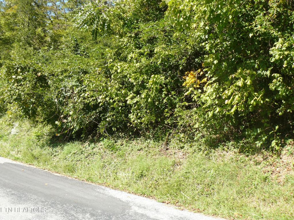 Lower Caney Valley Rd, Tazewell