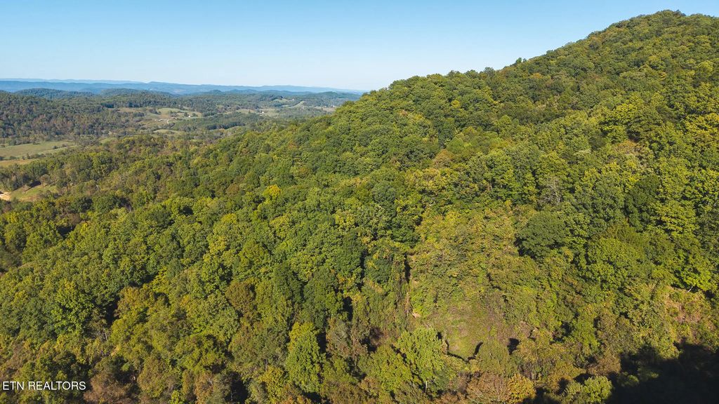 69.26 Ac Wolfe Rd, Sneedville