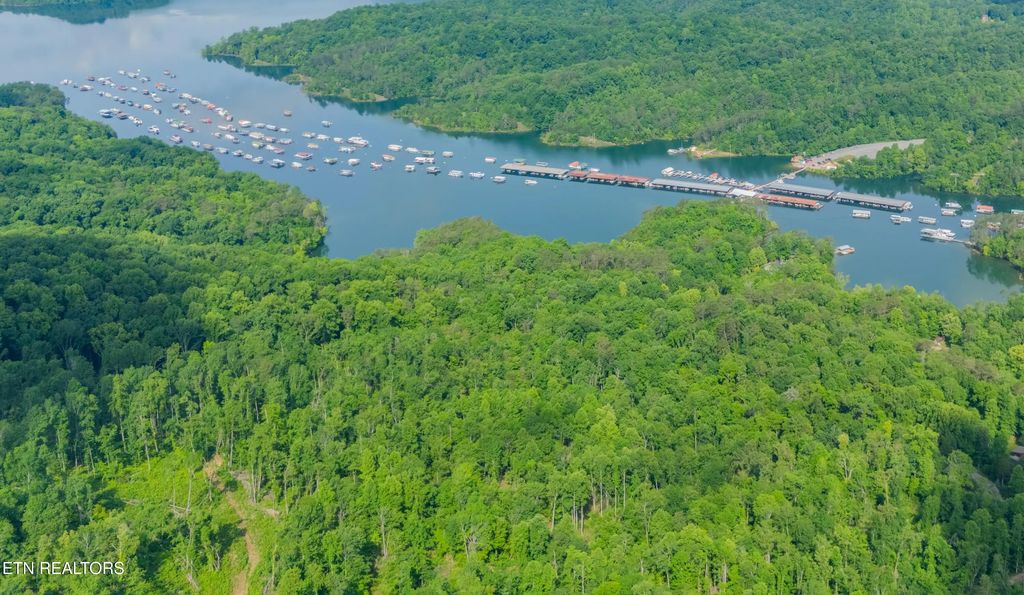 Lake Lane, New Tazewell