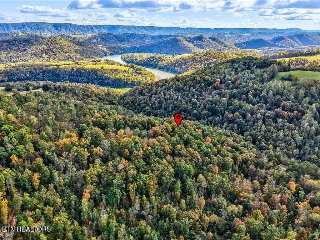 Claude Bolden Lane, Tazewell