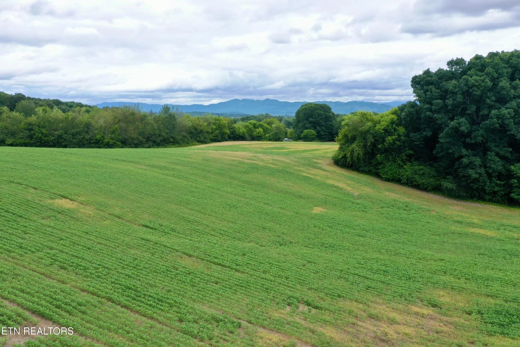 141 Saratoga Drive, Maryville