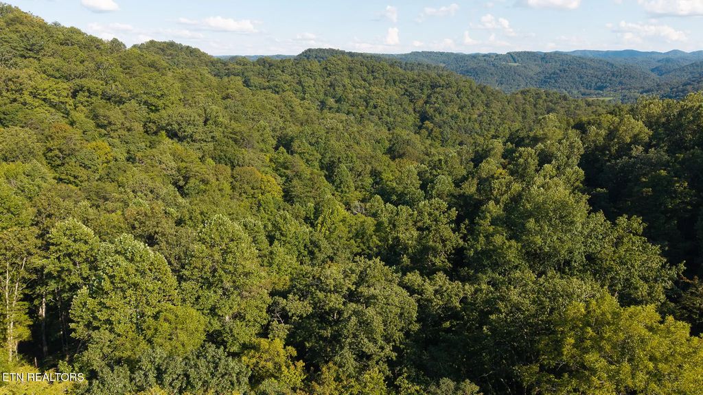 32.38  Ac Off Panther Creek Rd, Sneedville
