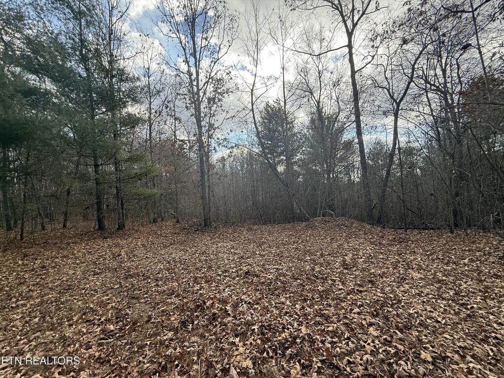 Valerie Drive 10.77 Acres Drive, Deer Lodge