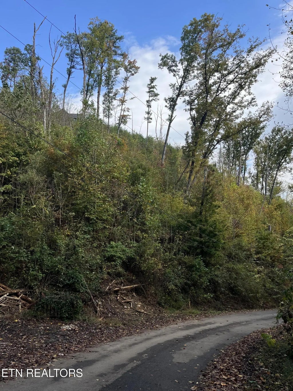 Lot 529 Deep Hollow Rd, Gatlinburg