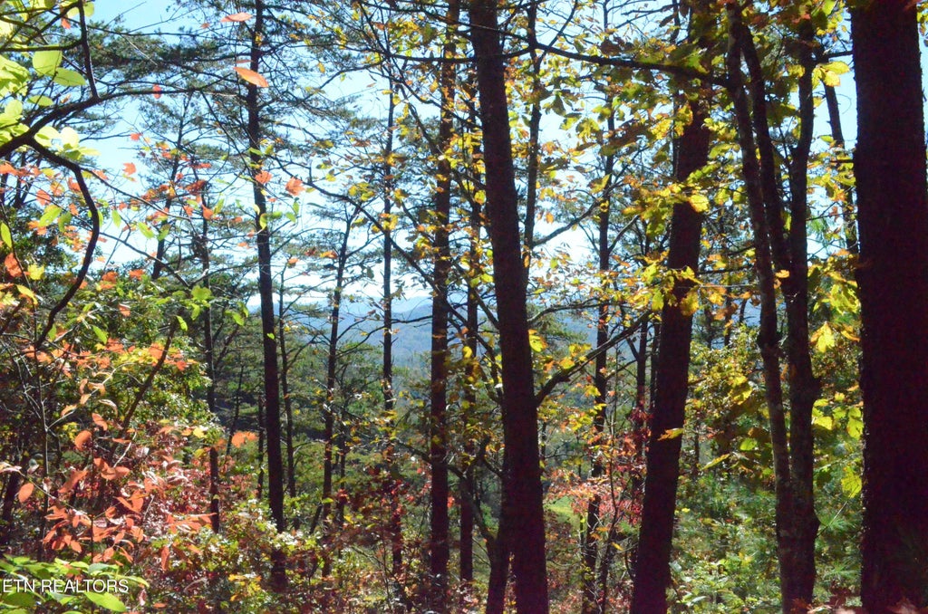 Lot36r Mountain Retreat Rd, Townsend