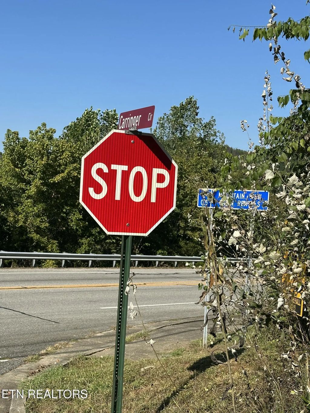 Carringer Circle, Tellico Plains