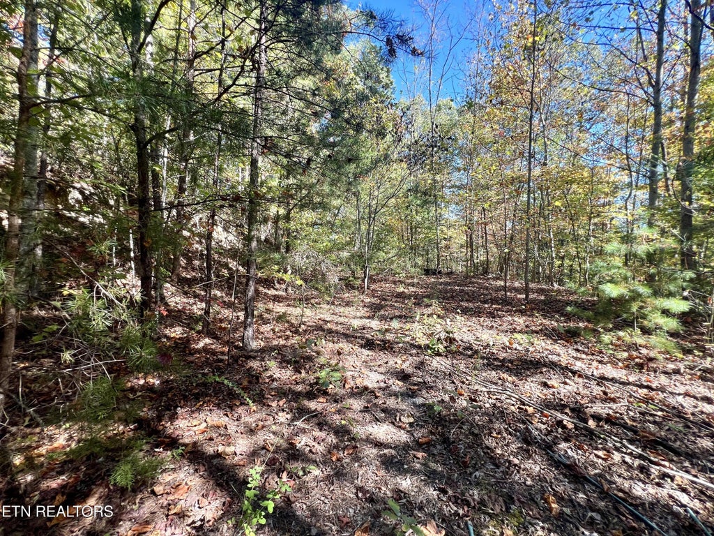 1844 Creek Hollow Way Way, Sevierville