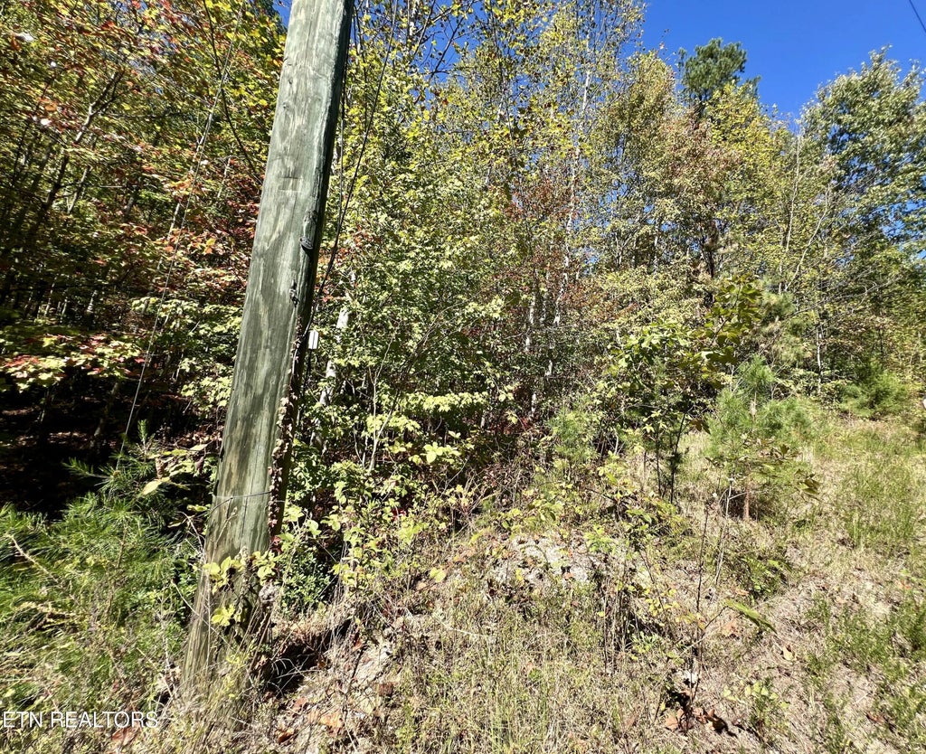 P 20.15 Creek Hollow Way, Sevierville