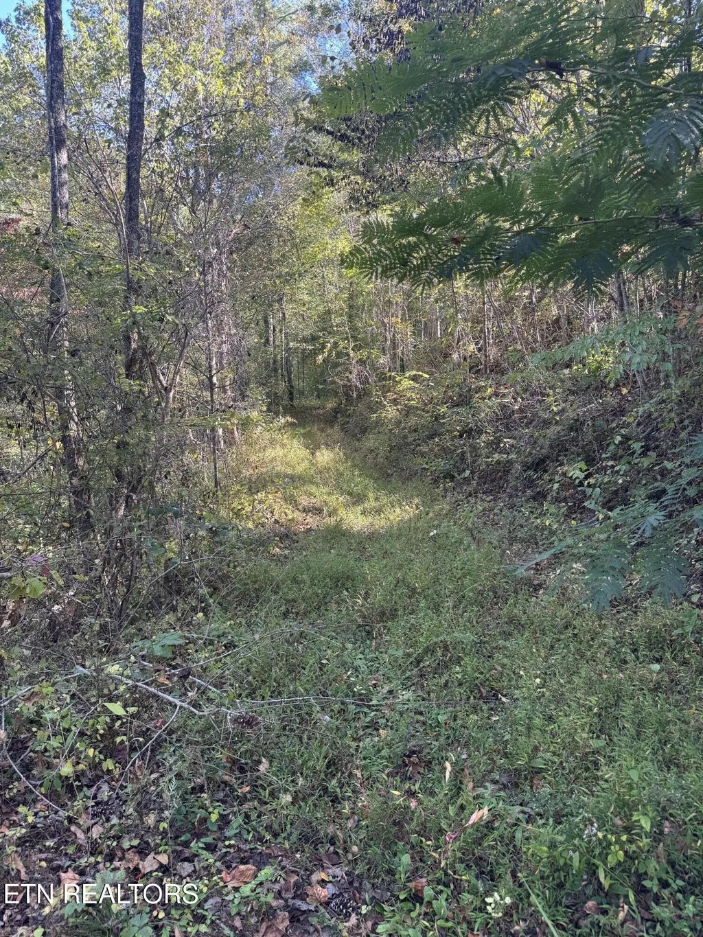 251 Mine Hollow Rd, Reliance