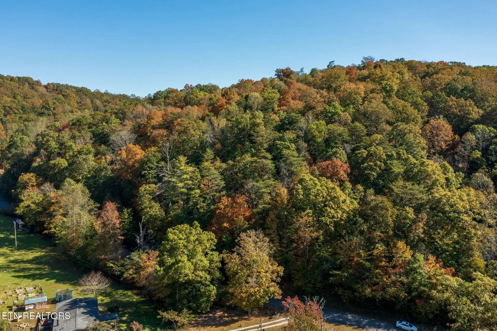 Strong Hollow Lane, Rocky Top
