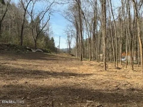 439 Caney Creek Rd, Pigeon Forge