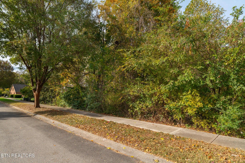 865 Belle Grove Rd, Knoxville