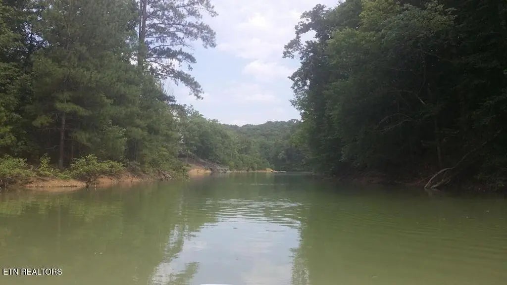 Last Chance Rd, Dandridge