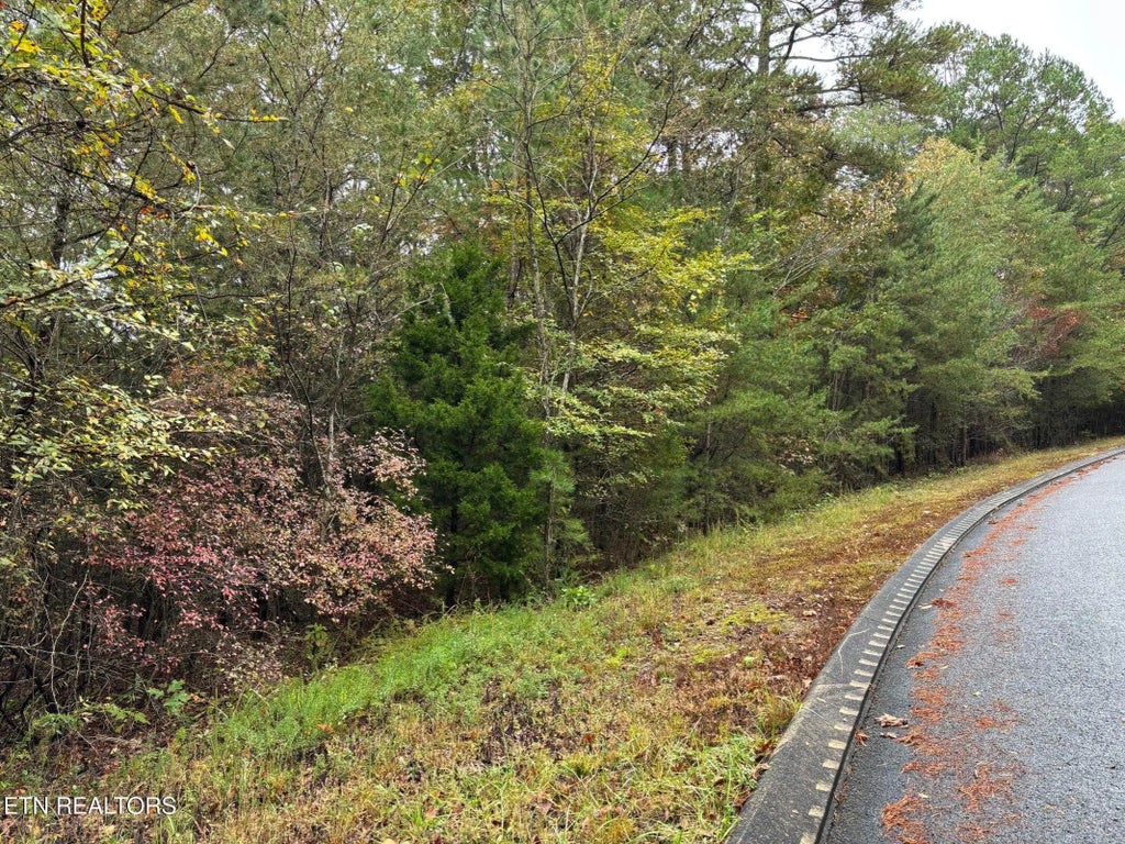 3 Countryside Drive, Dunlap