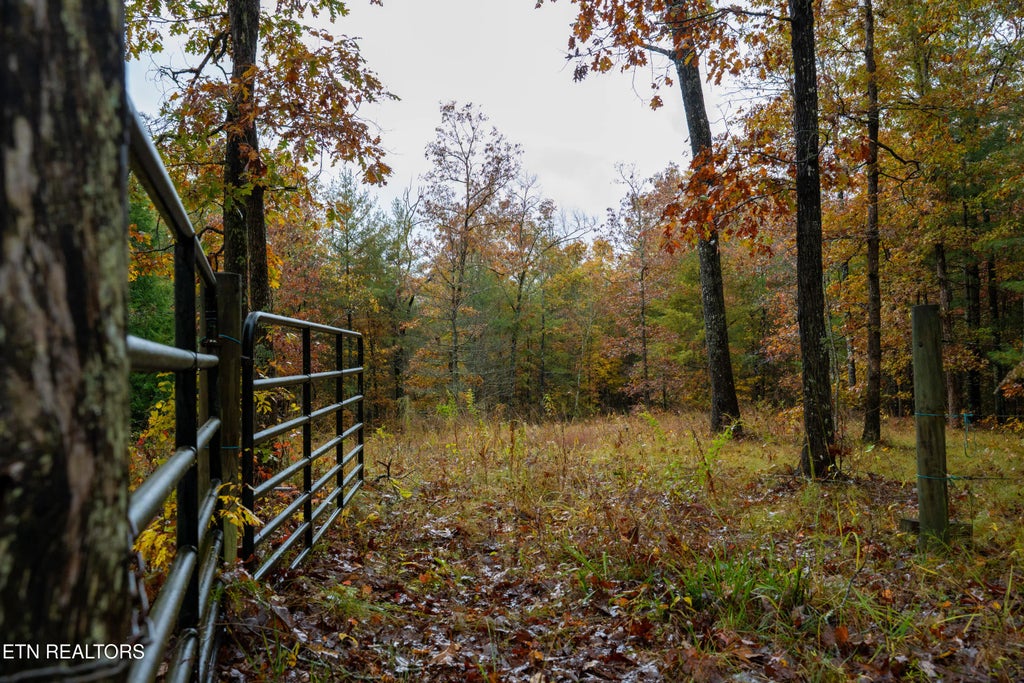 Trailhead Lane, Jamestown
