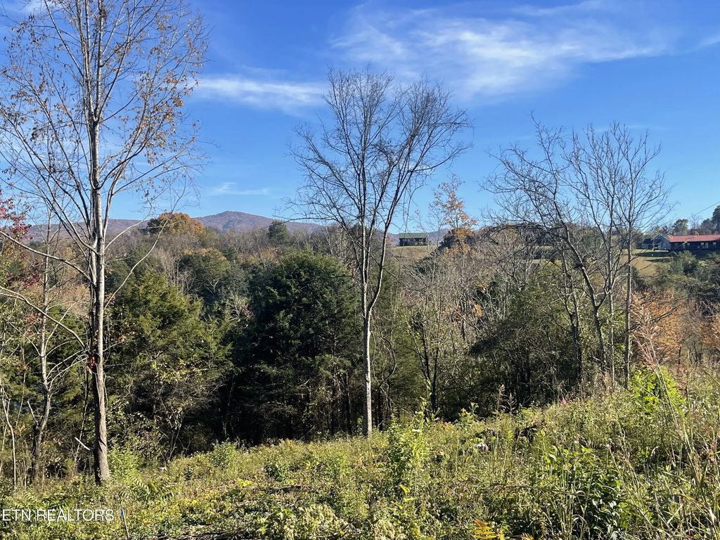 Mountain Ridge, Newport