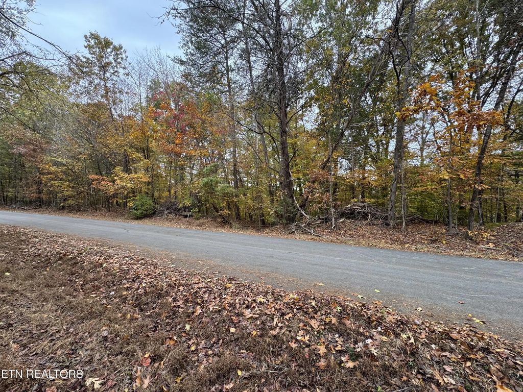 Mountain View Ln Lane, Baneberry