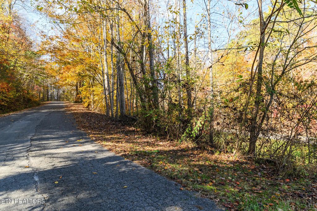 Lot 1 Jones Cove Rd, Cosby