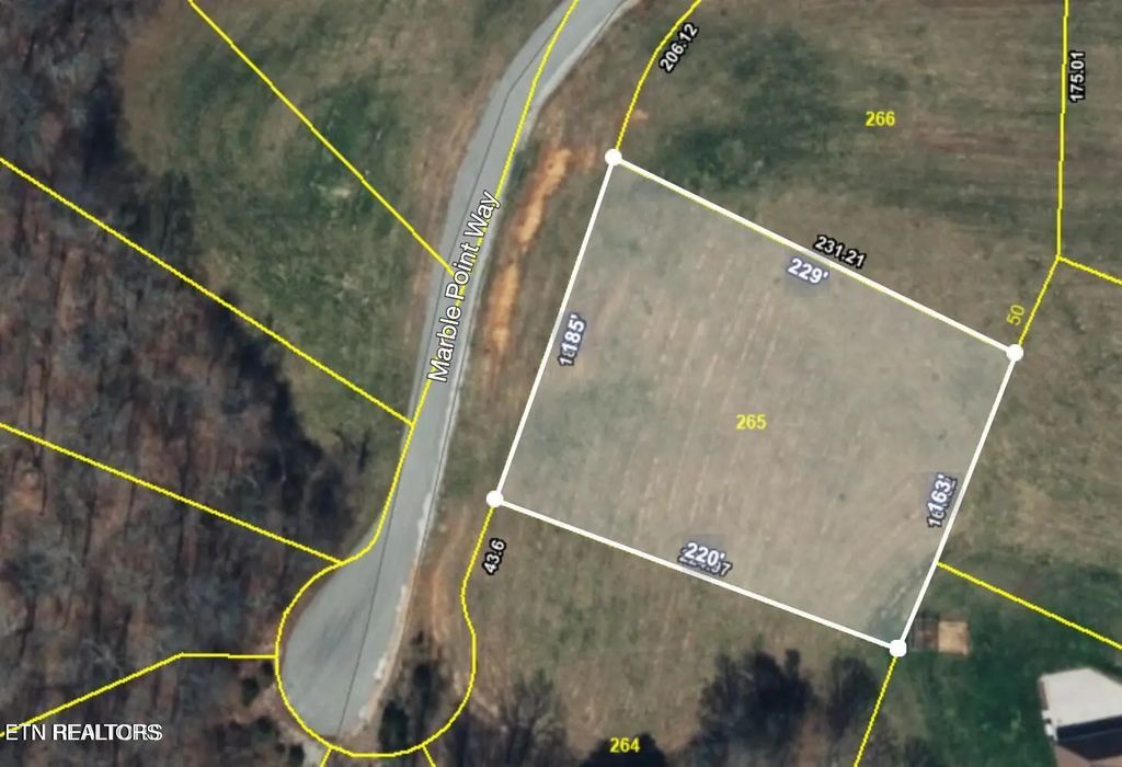 L-265 Marble Point Way, New Tazewell