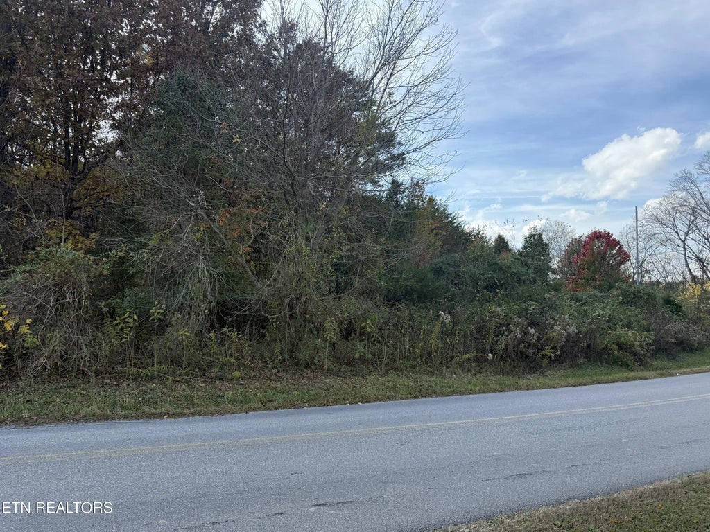 919 Nina Delozier Rd, Maryville