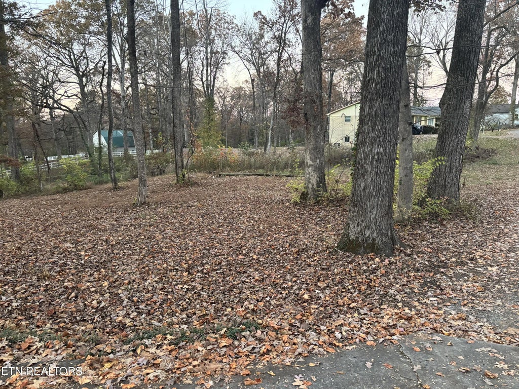 201 Ridge Rd, Maryville