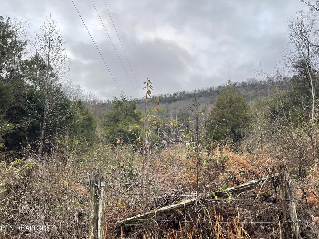 Reagan Valley Rd, Tellico Plains
