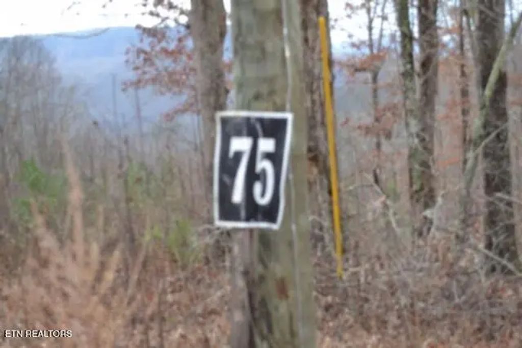Lot 75 Tomahawk Rd, Jamestown
