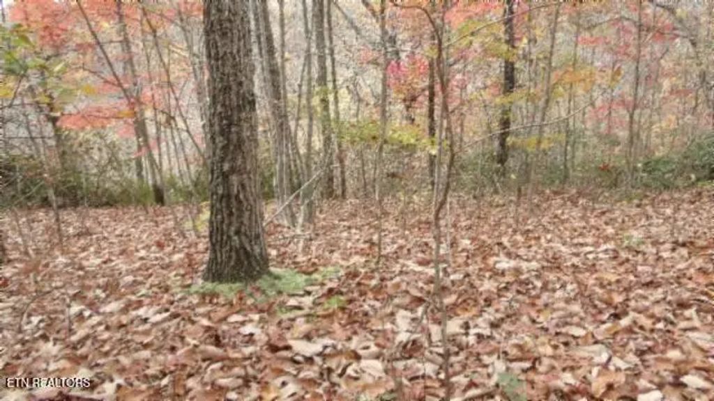 Lot 349 Drew Court, Smithville