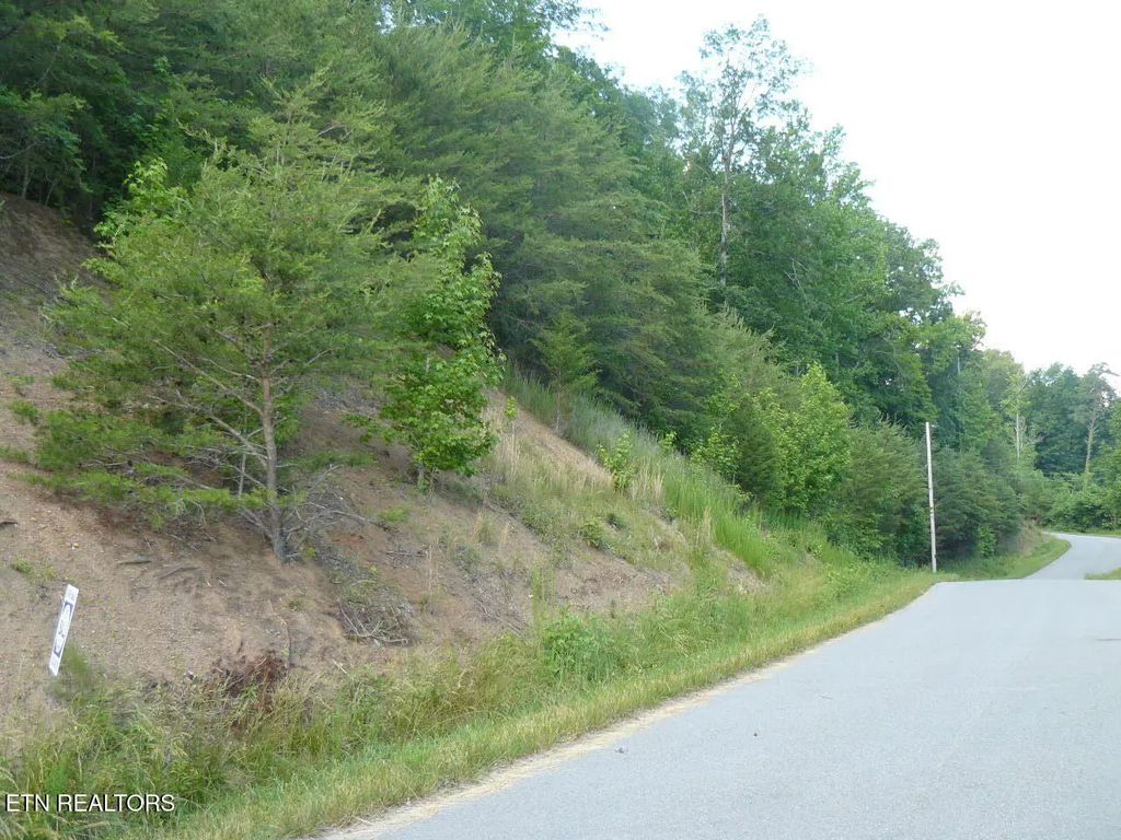 Lot 539 Whistle Valley Rd, New Tazewell