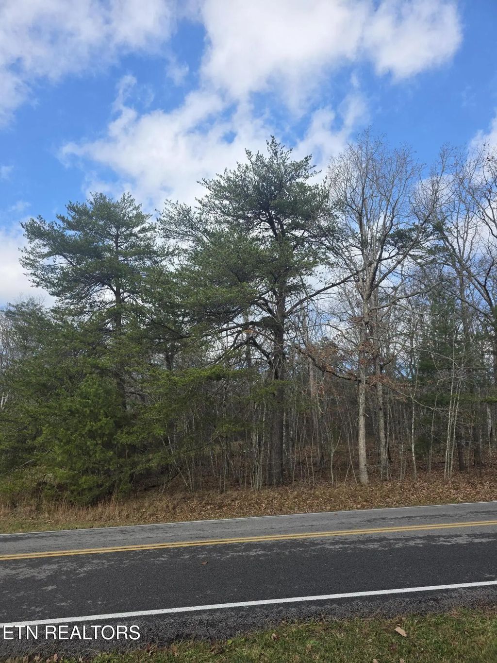 523 Lakeview Drive, Crossville