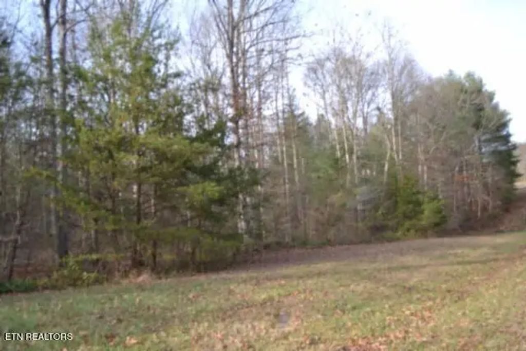 Lot 4 Shotgun Annie Rd, Jamestown