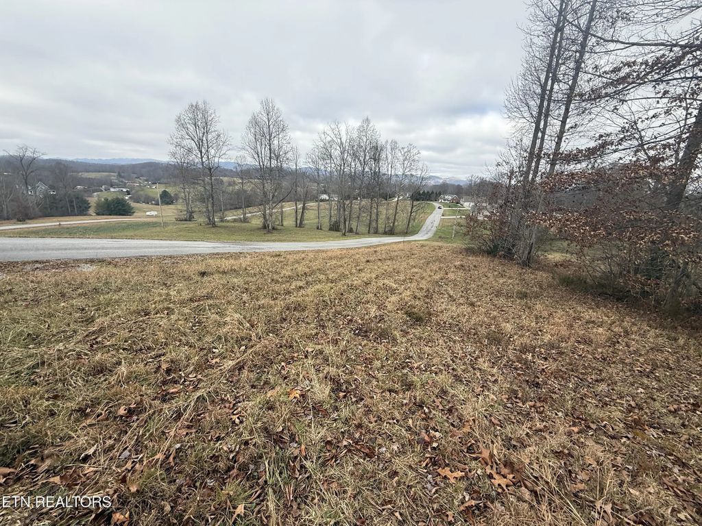 Lot #6 Oak Point Drive, Jonesville